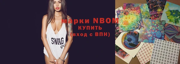 ГАЛЛЮЦИНОГЕННЫЕ ГРИБЫ Белокуриха