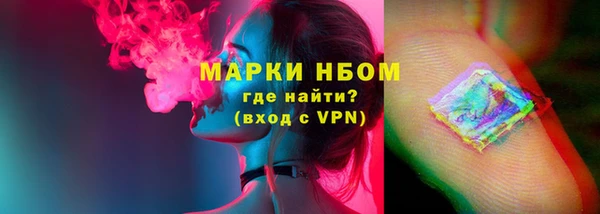 ГАЛЛЮЦИНОГЕННЫЕ ГРИБЫ Белокуриха