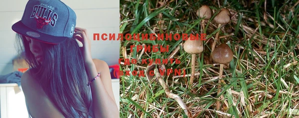 ГАЛЛЮЦИНОГЕННЫЕ ГРИБЫ Белокуриха