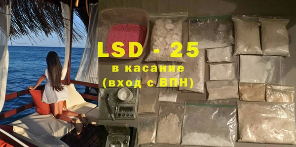 ГАЛЛЮЦИНОГЕННЫЕ ГРИБЫ Белокуриха